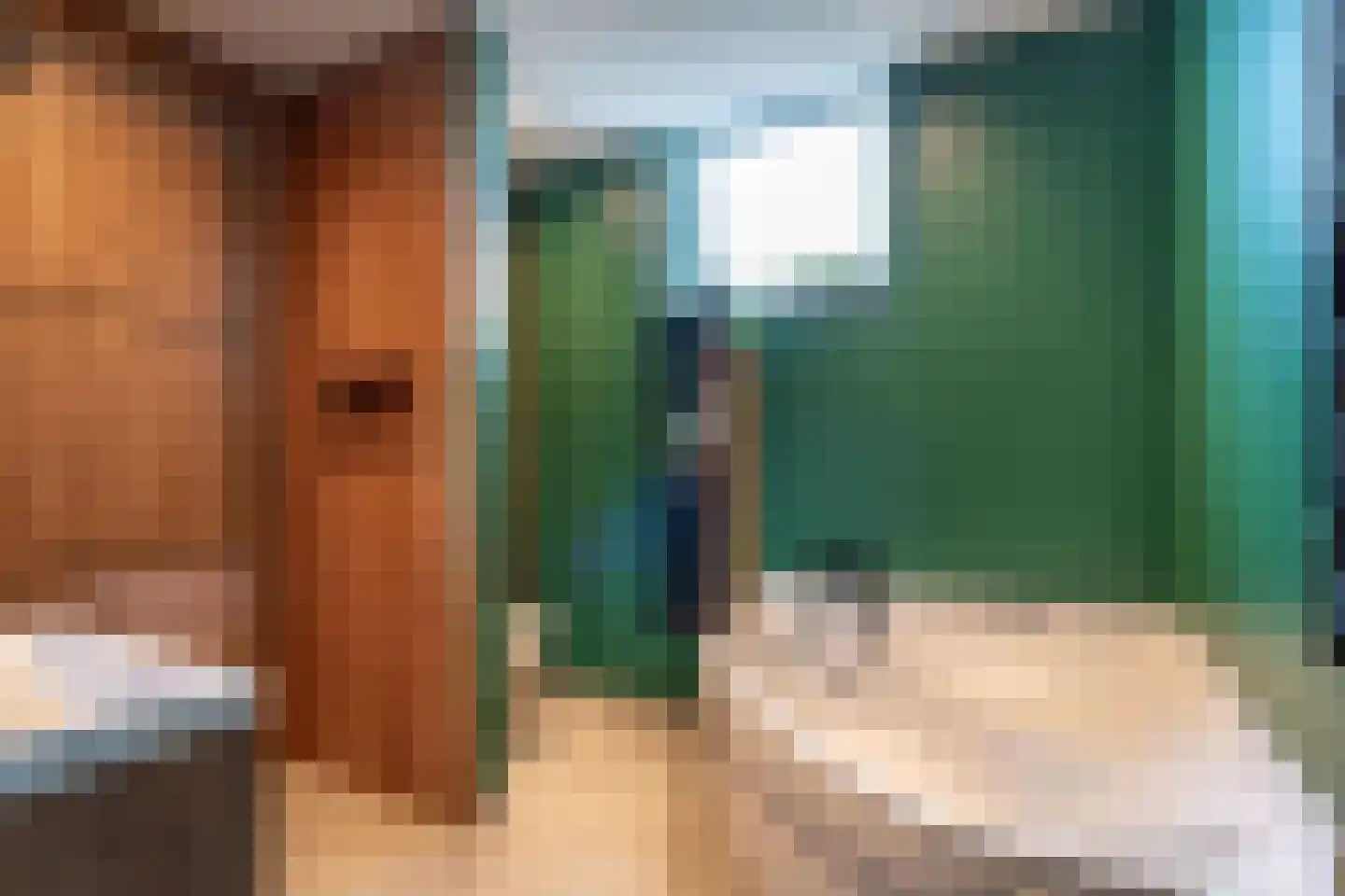 Oudewal 46 Warmenhuizen thumbnail 43