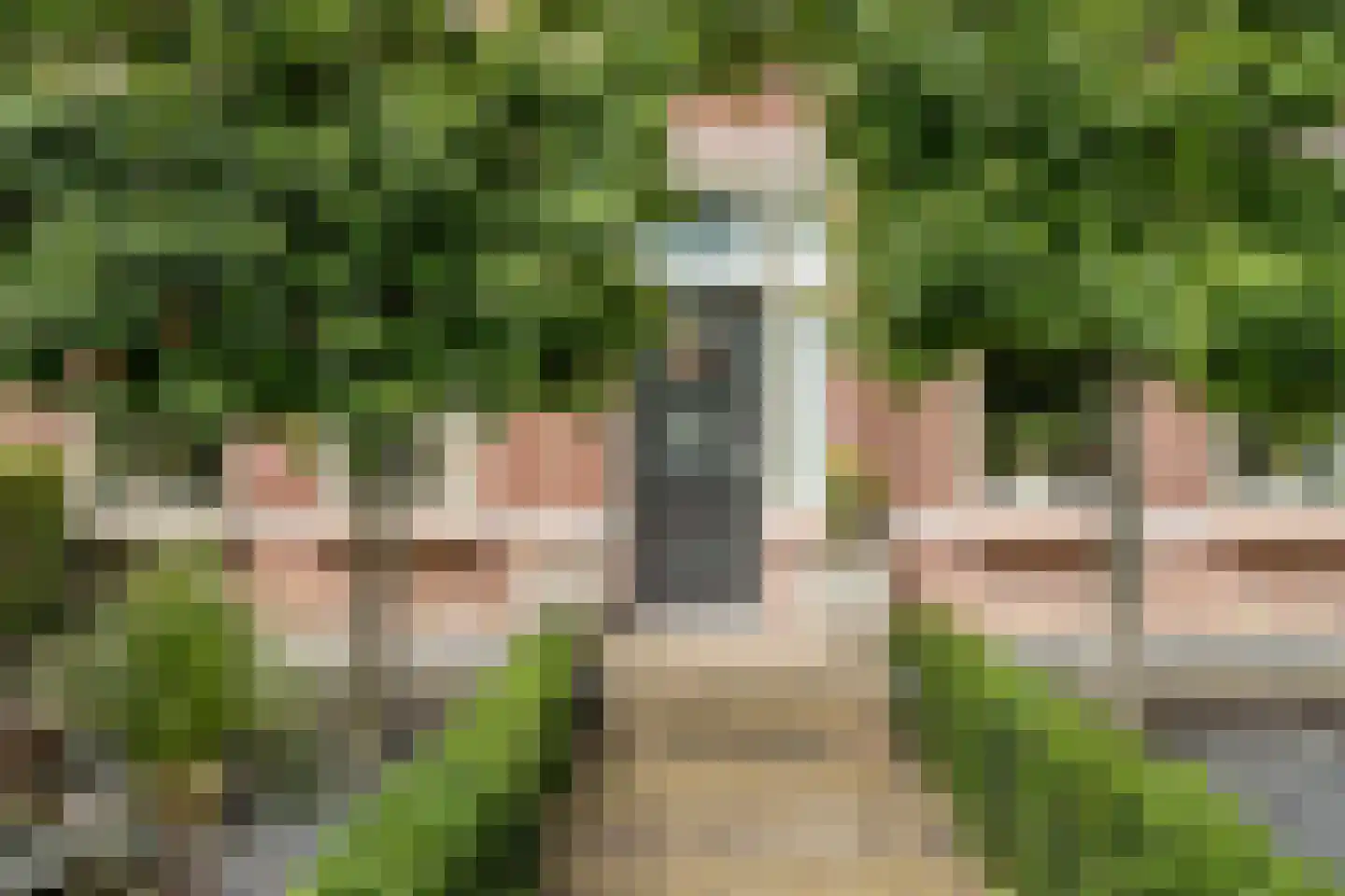Oudewal 46 Warmenhuizen thumbnail 5