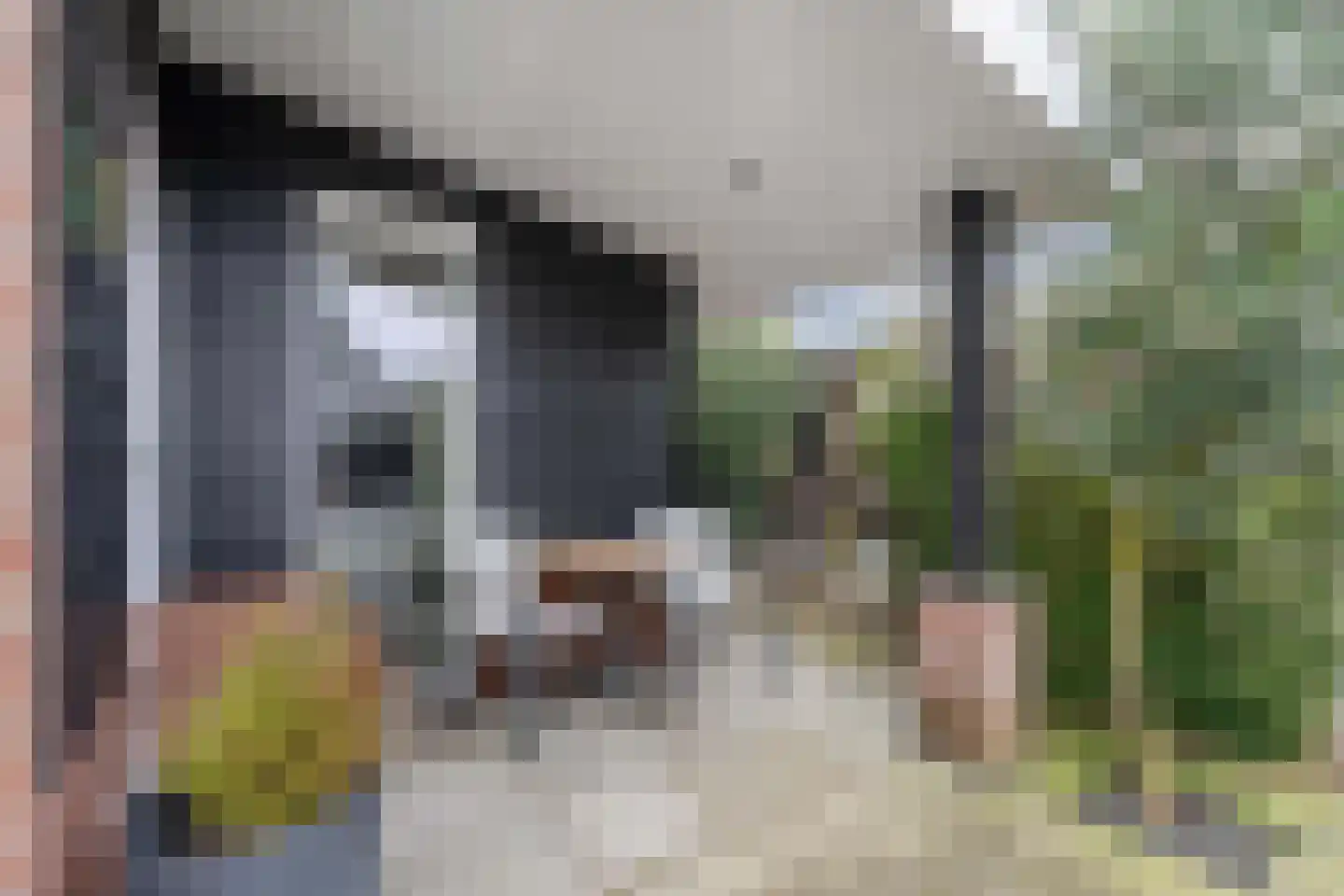 Oudewal 46 Warmenhuizen thumbnail 62