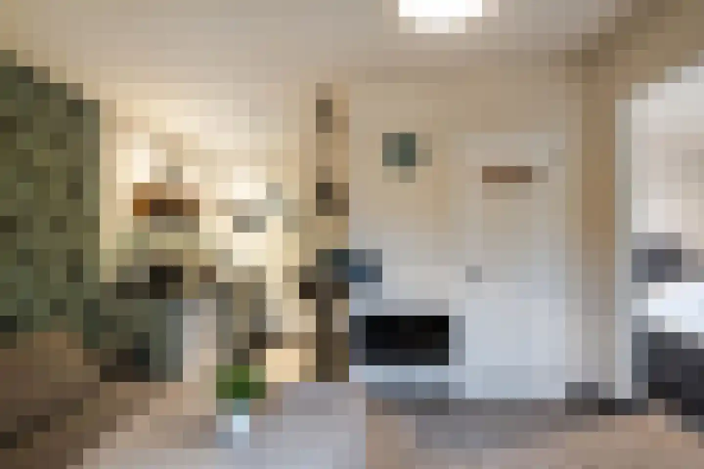 Oudewal 46 Warmenhuizen thumbnail 64