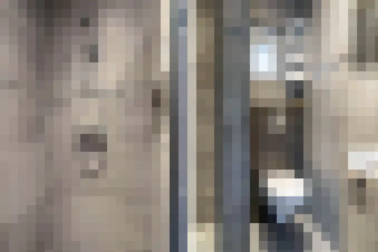 Oudewal 46 Warmenhuizen thumbnail 70