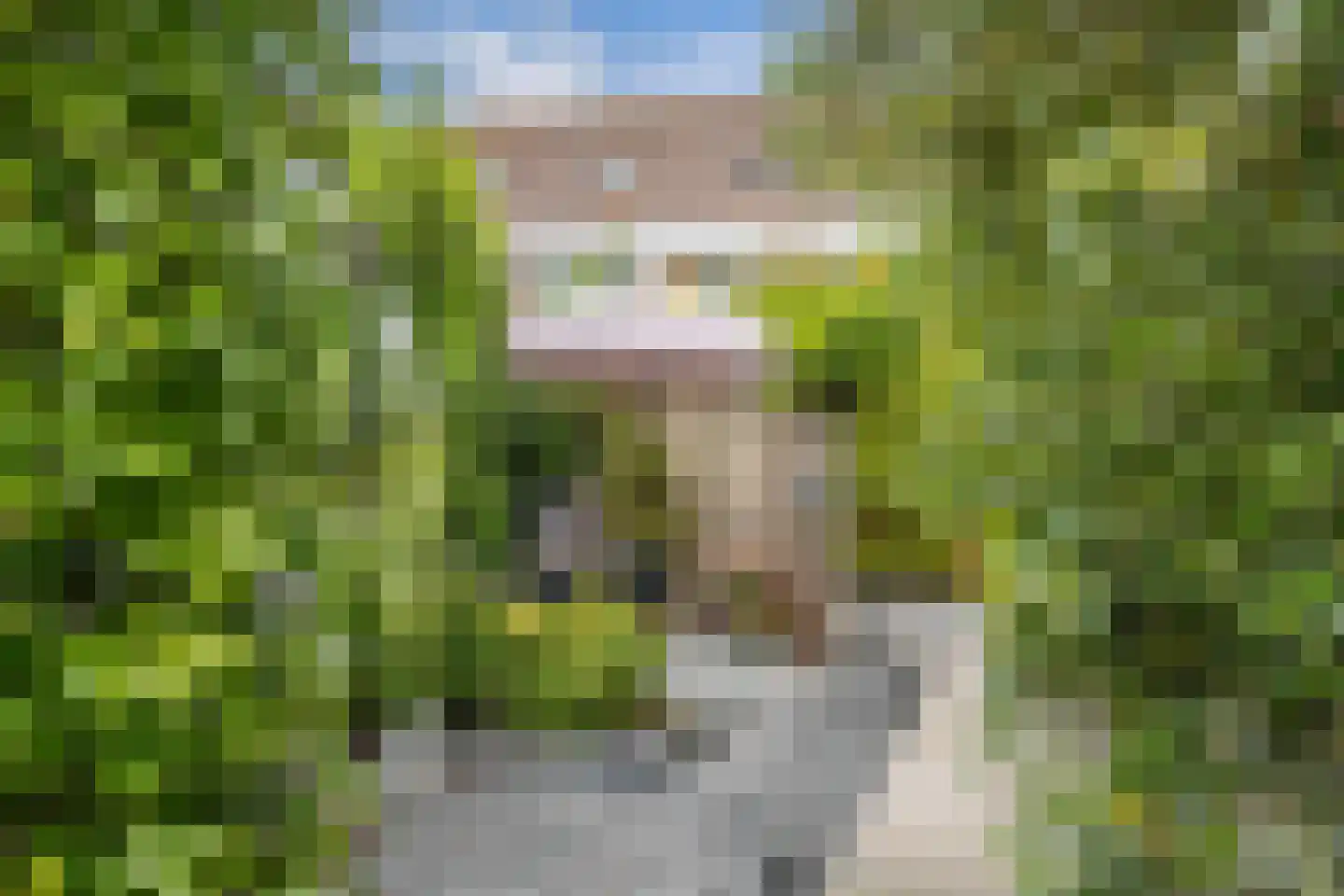Oudewal 46 Warmenhuizen thumbnail 76