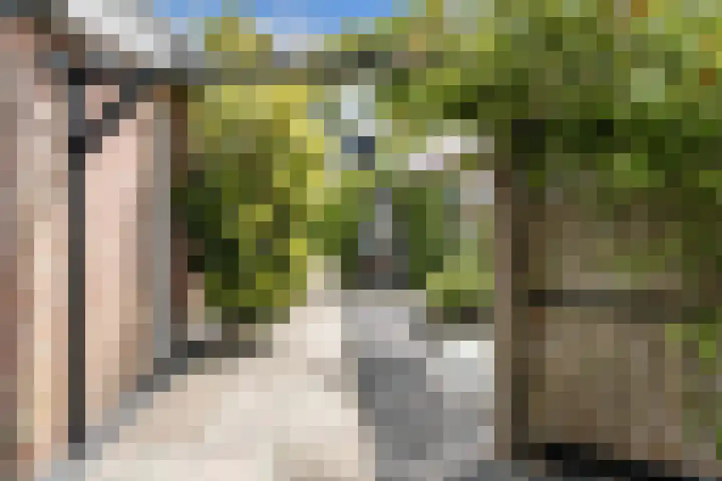 Oudewal 46 Warmenhuizen thumbnail 79