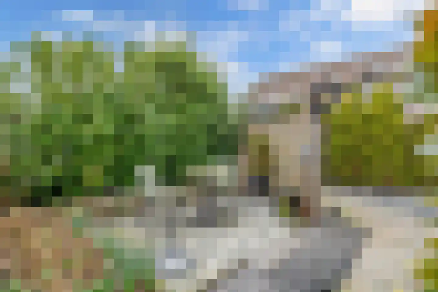 Oudewal 46 Warmenhuizen thumbnail 83