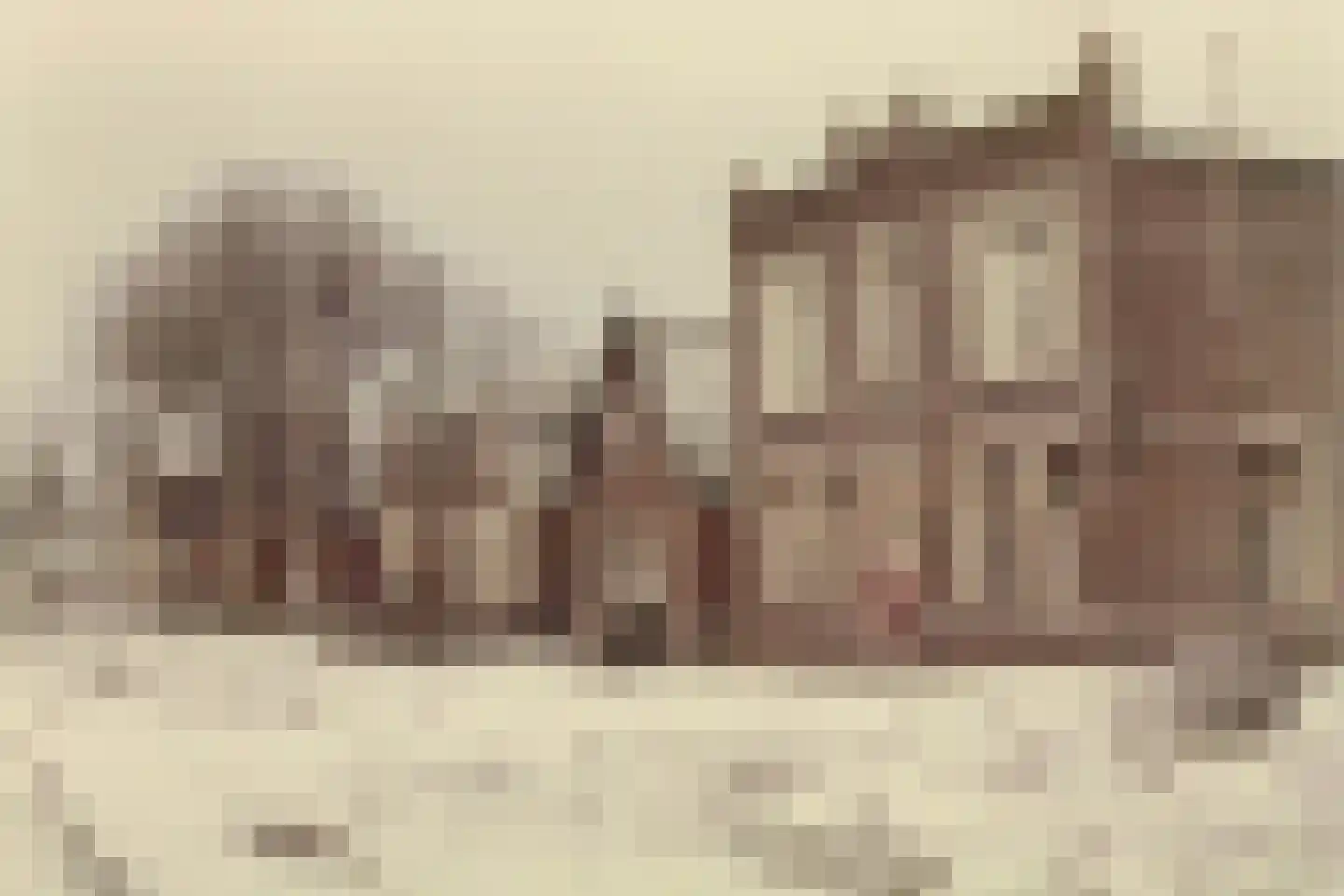 Oudewal 46 Warmenhuizen thumbnail 84