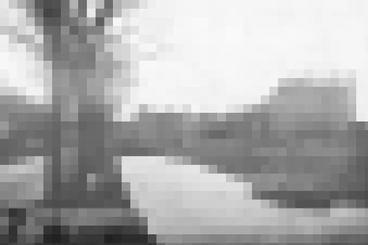 Oudewal 46 Warmenhuizen thumbnail 85