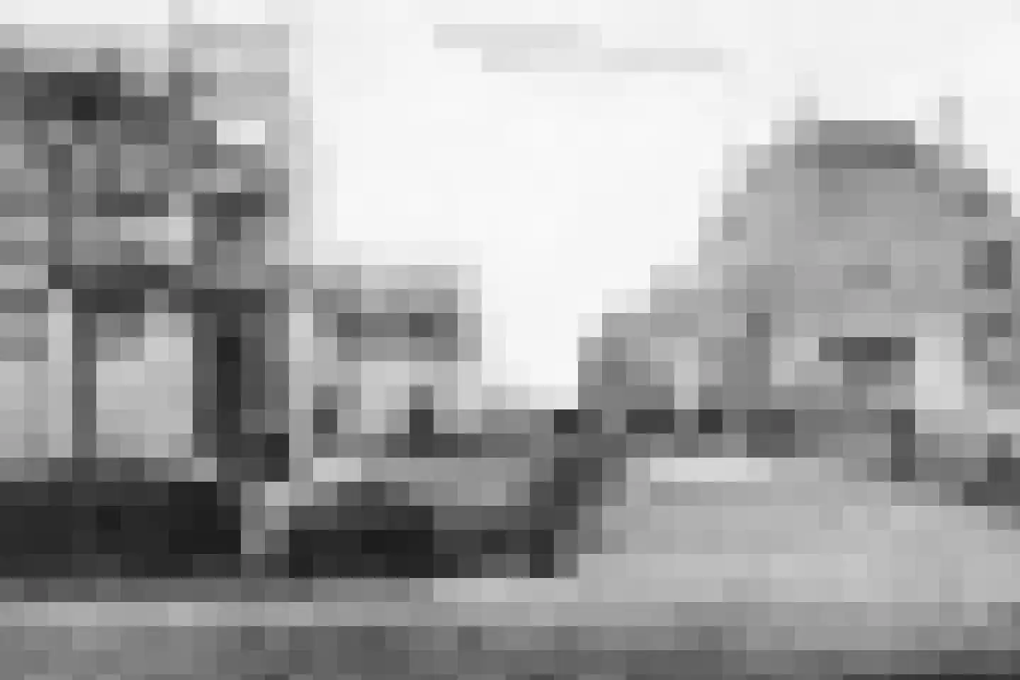 Oudewal 46 Warmenhuizen thumbnail 86