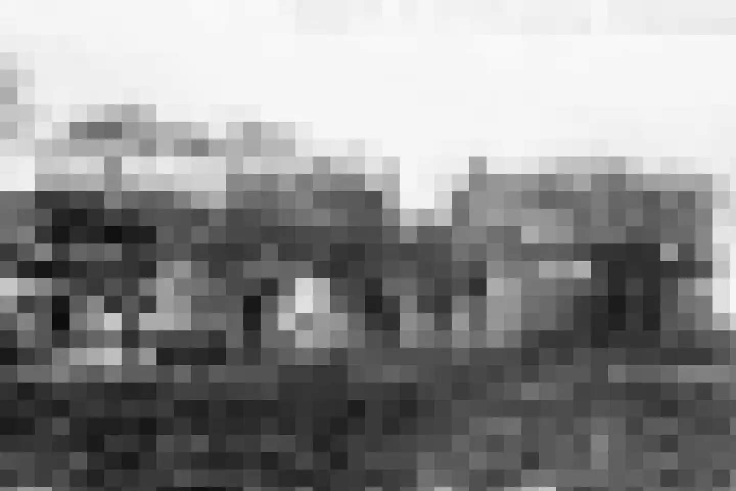 Oudewal 46 Warmenhuizen thumbnail 87