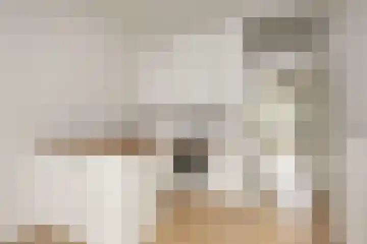Oudewand 102 Zutphen thumbnail 10
