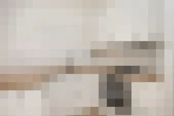 Oudewand 102 Zutphen thumbnail 11