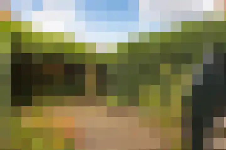 Oudewand 102 Zutphen thumbnail 16