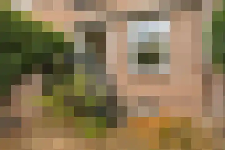Oudewand 102 Zutphen thumbnail 17