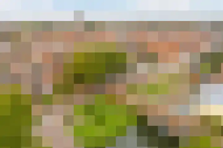 Oudewand 102 Zutphen thumbnail 20
