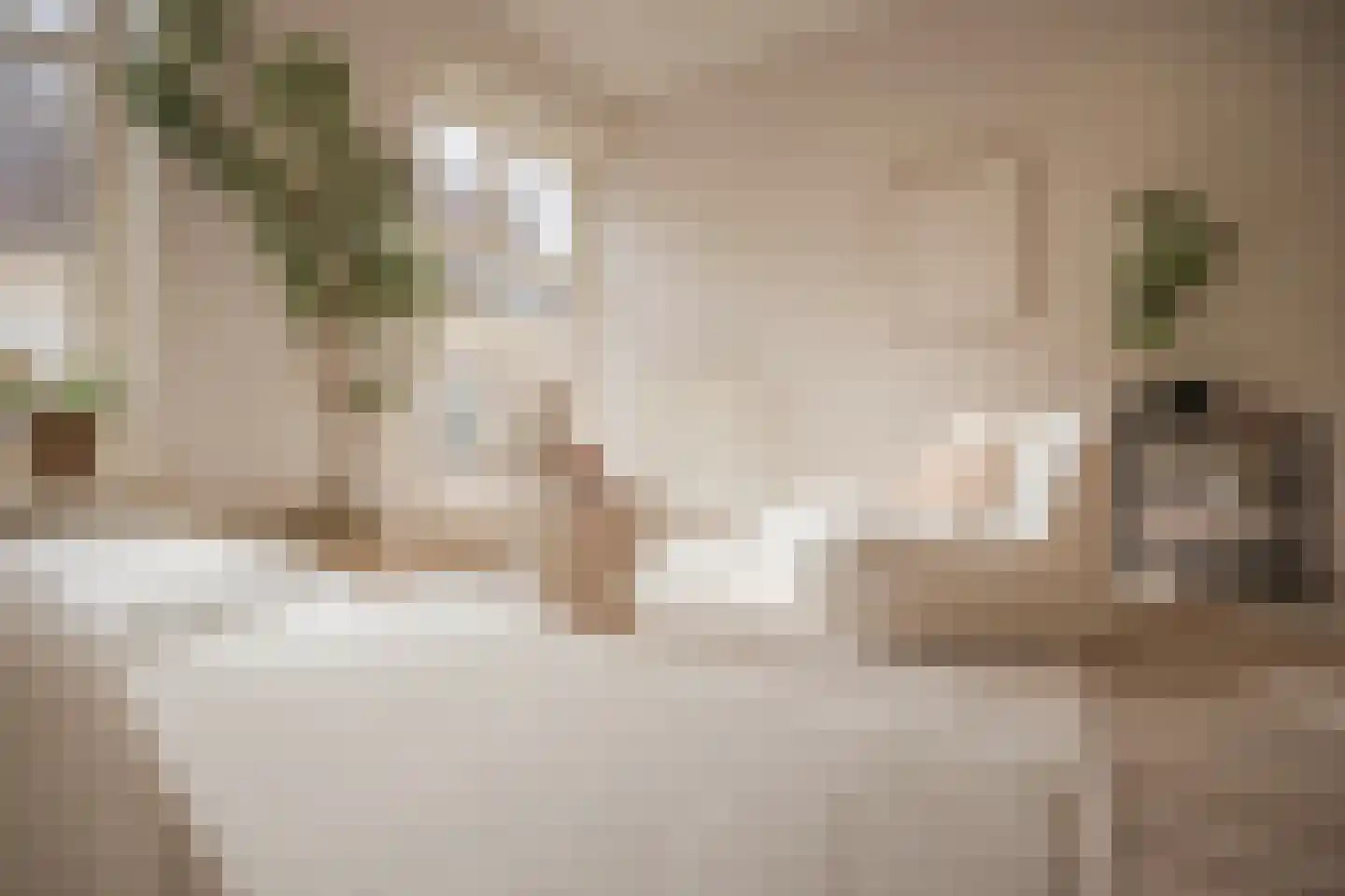 Oudewand 17 a Zutphen thumbnail 10