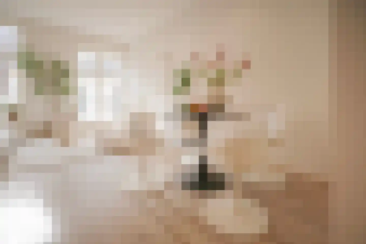 Oudewand 17 a Zutphen thumbnail 18