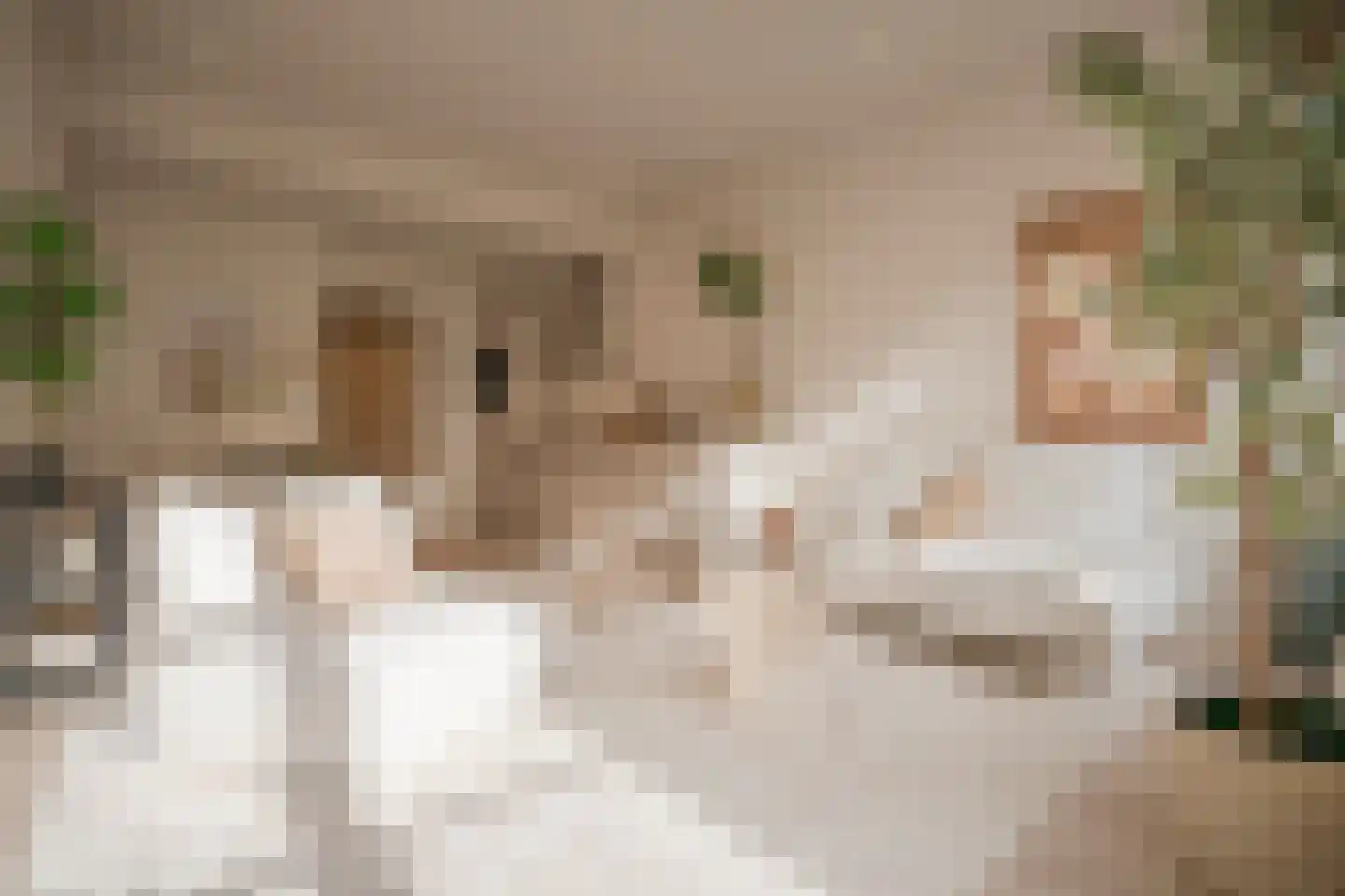 Oudewand 17 a Zutphen thumbnail 8