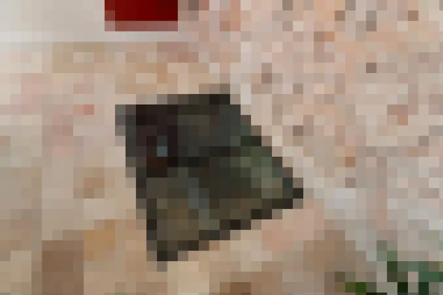 Oudewand 53 Zutphen thumbnail 13