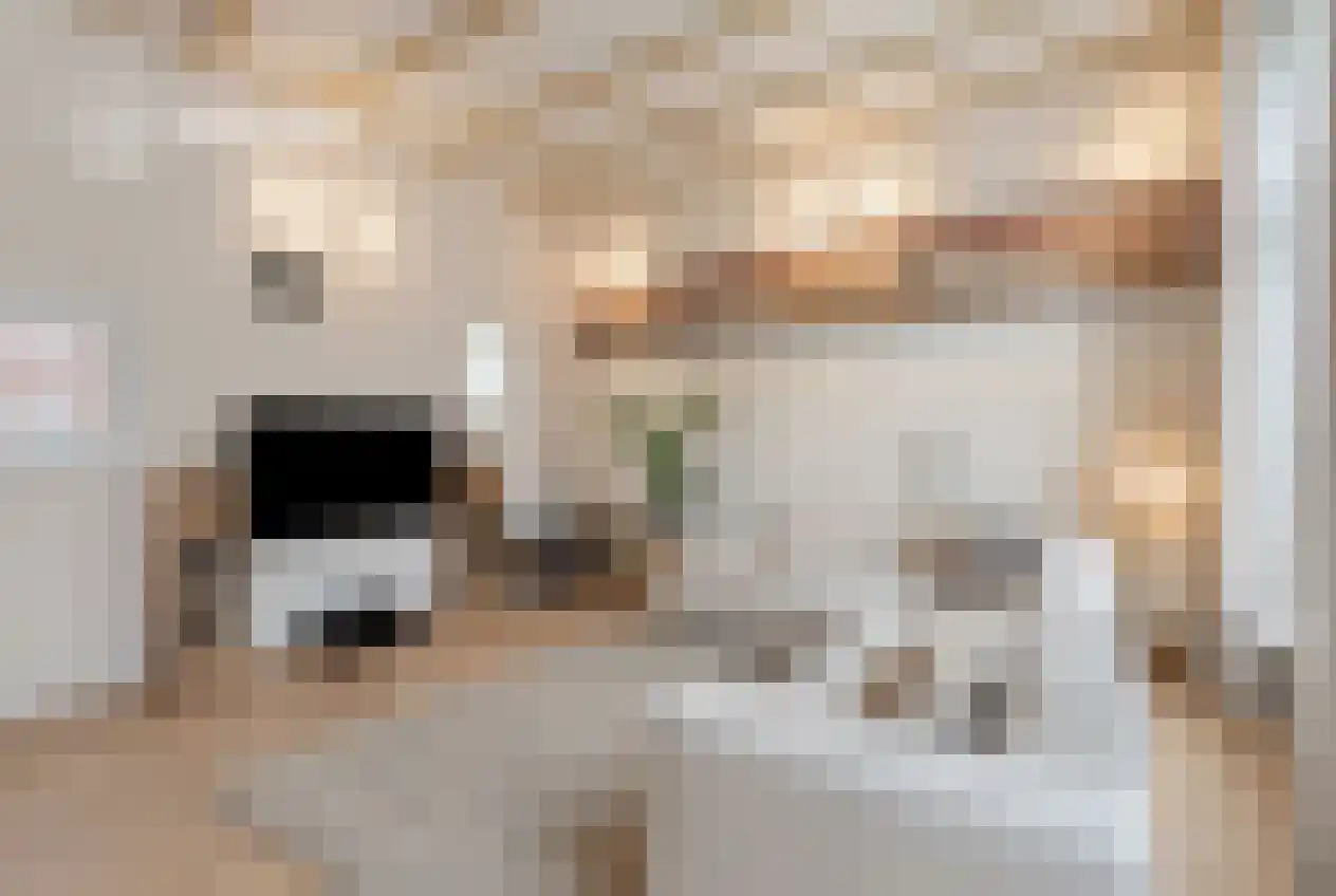 Oudewand 53 Zutphen thumbnail 20