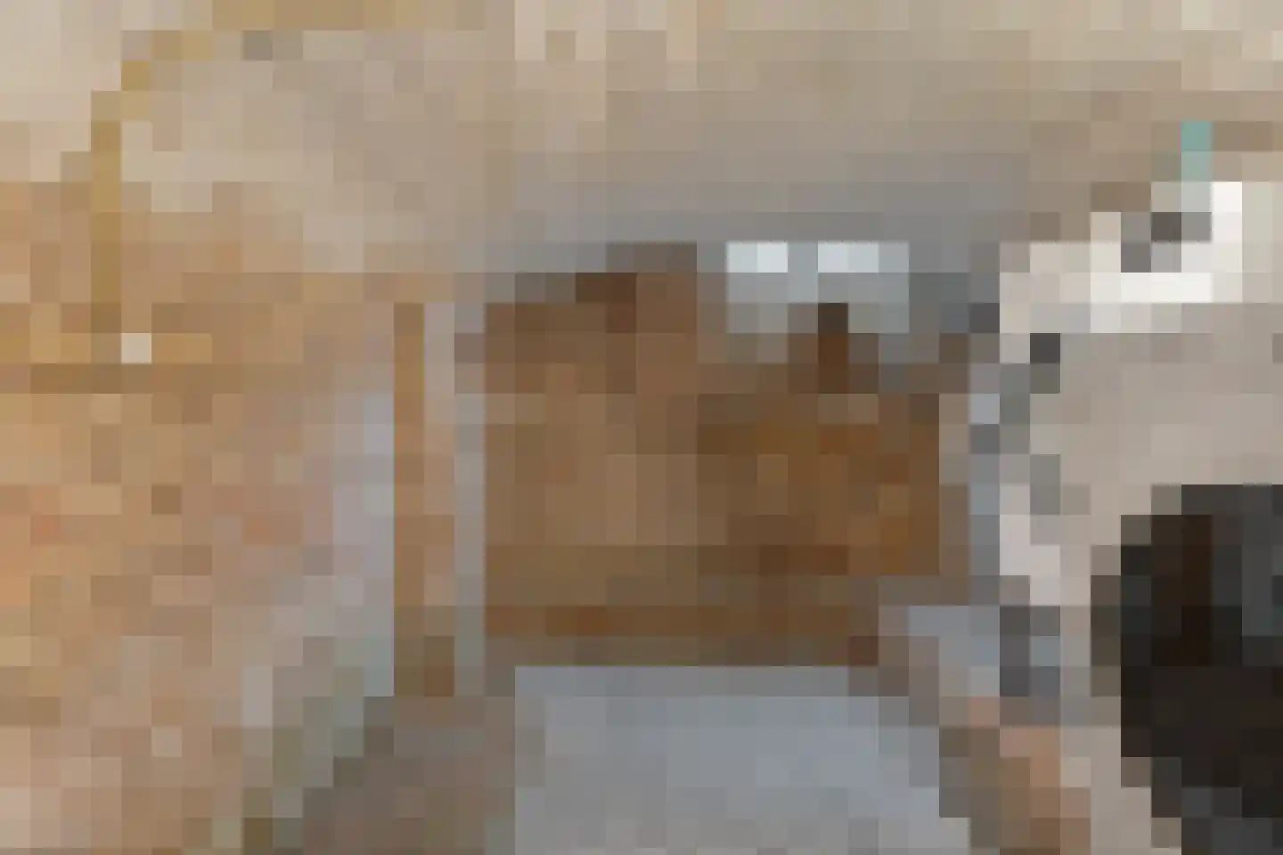 Oudewand 53 Zutphen thumbnail 31
