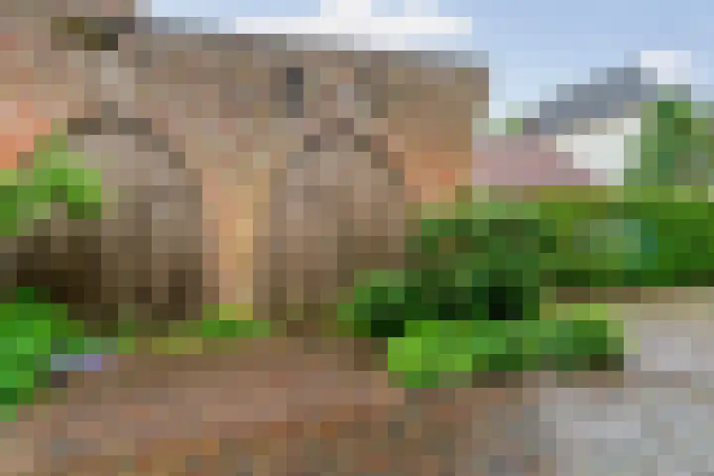 Oudewand 53 Zutphen thumbnail 32