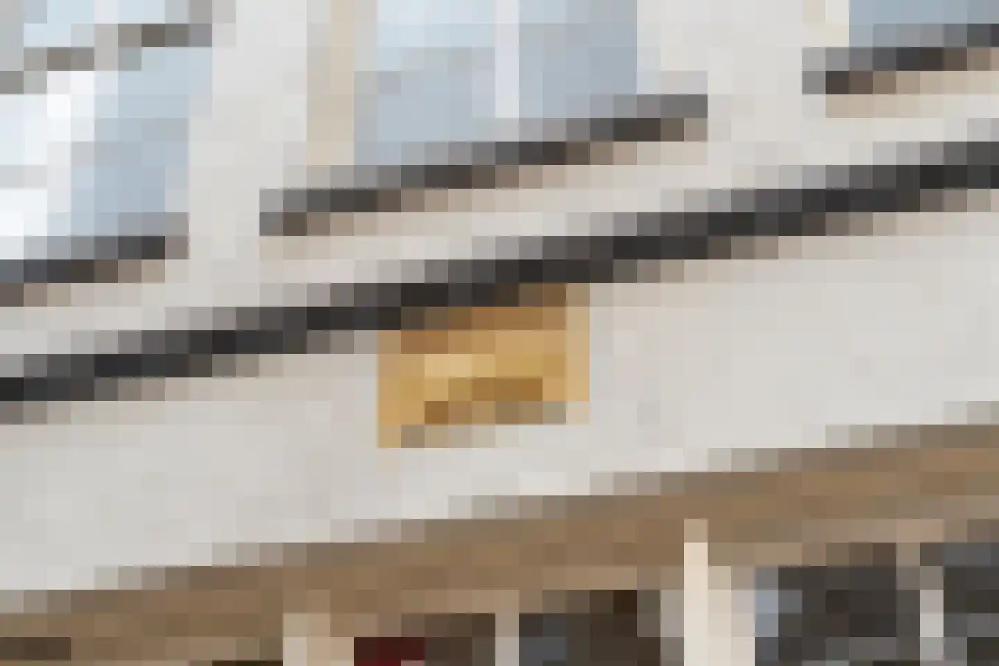 Oudewand 53 Zutphen thumbnail 7