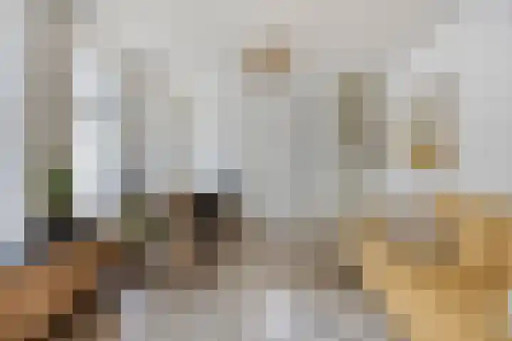 Oudewand 61 Zutphen thumbnail 11