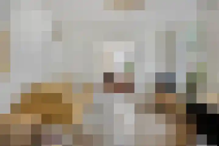Oudewand 61 Zutphen thumbnail 12