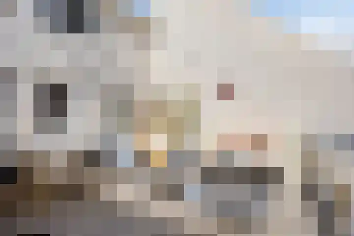 Oudewand 61 Zutphen thumbnail 15