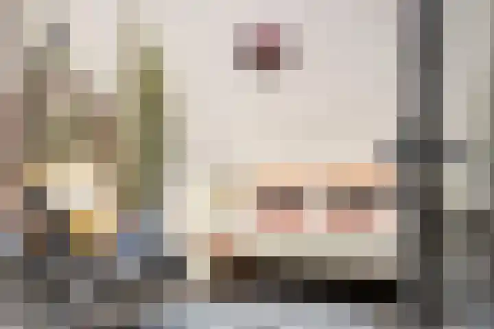 Oudewand 61 Zutphen thumbnail 16