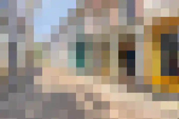 Oudewand 61 Zutphen thumbnail 28