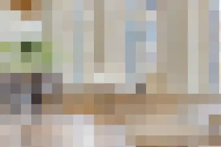 Oudewand 9 Zutphen thumbnail 12