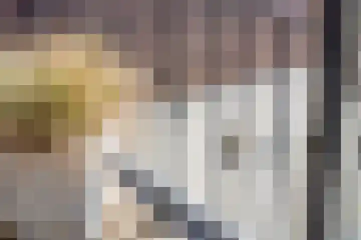 Oudewand 9 Zutphen thumbnail 26