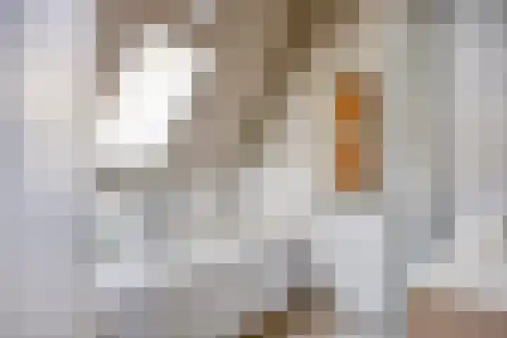 Oudewand 9 Zutphen thumbnail 28