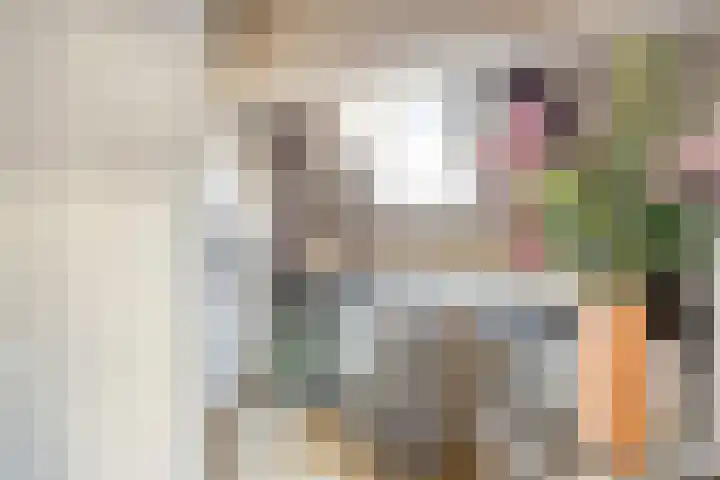 Oudewand 9 Zutphen thumbnail 30