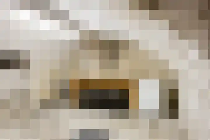 Oudewand 9 Zutphen thumbnail 41