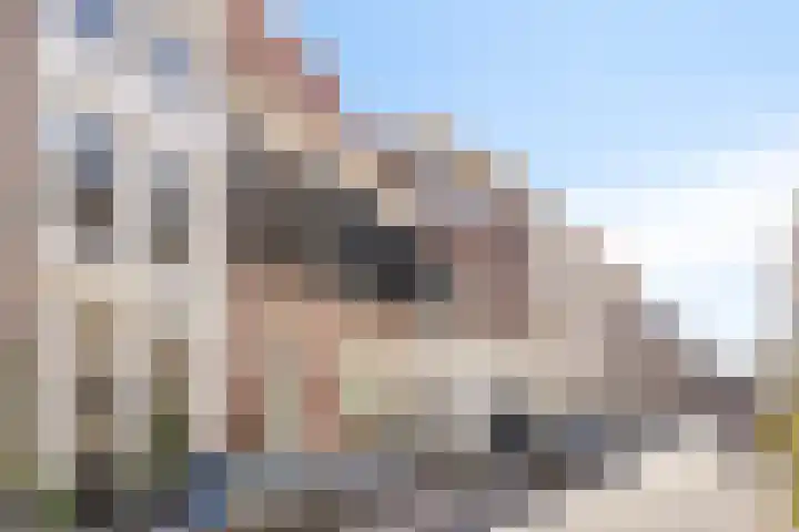Oudewand 9 Zutphen thumbnail 43