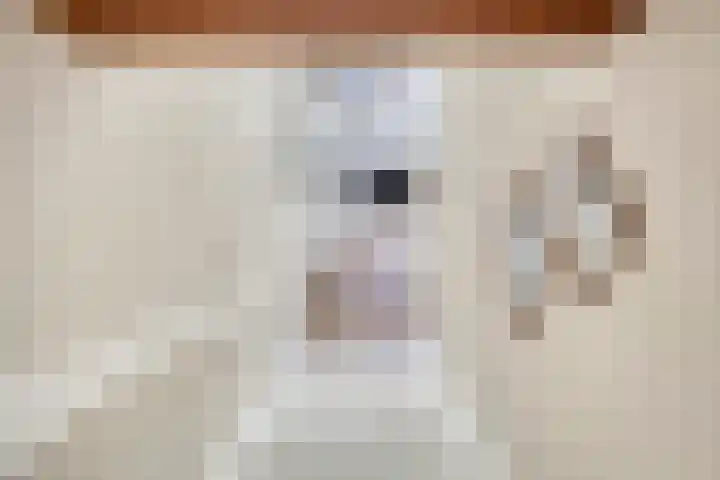 Oudewand 9 Zutphen thumbnail 5