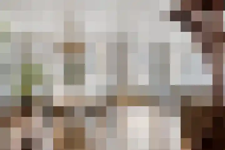 Oudewand 9 Zutphen thumbnail 6