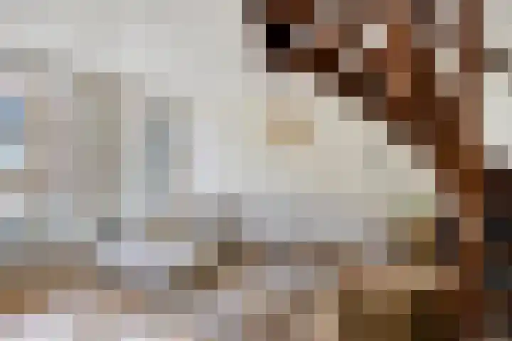 Oudewand 9 Zutphen thumbnail 8