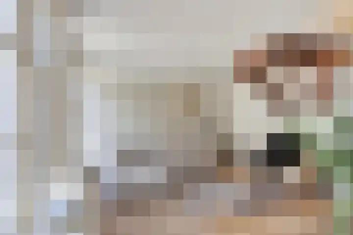Oudewand 9 Zutphen thumbnail 9