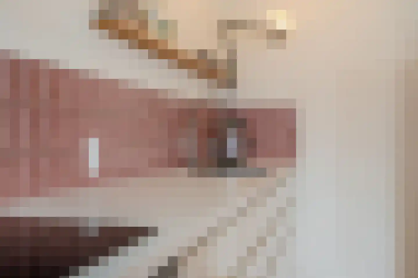 Oudeweg 1 Beerta thumbnail 23