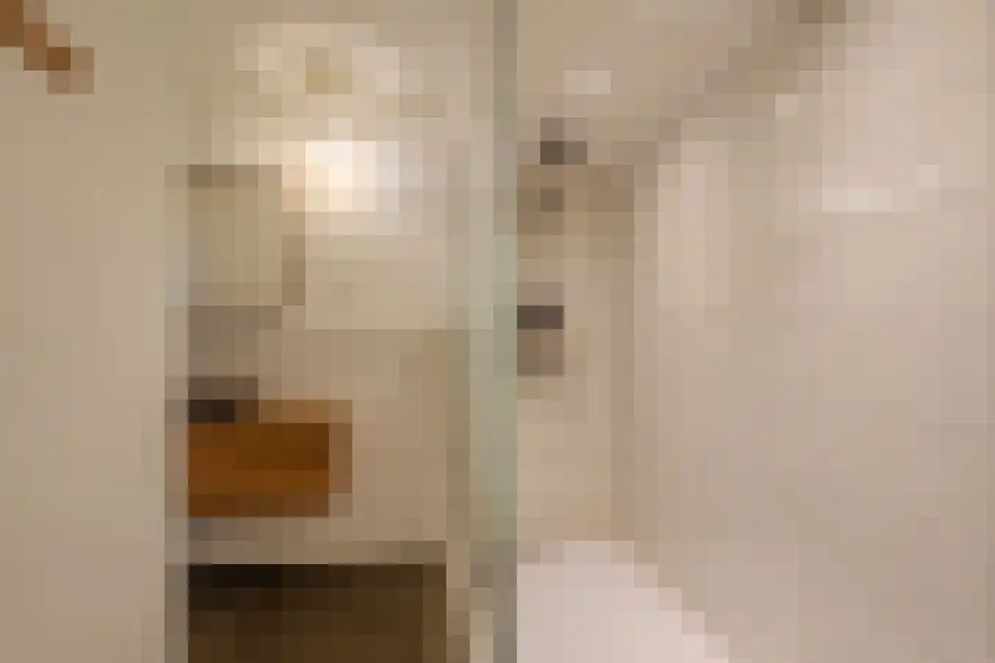Oudeweg 1 Beerta thumbnail 36