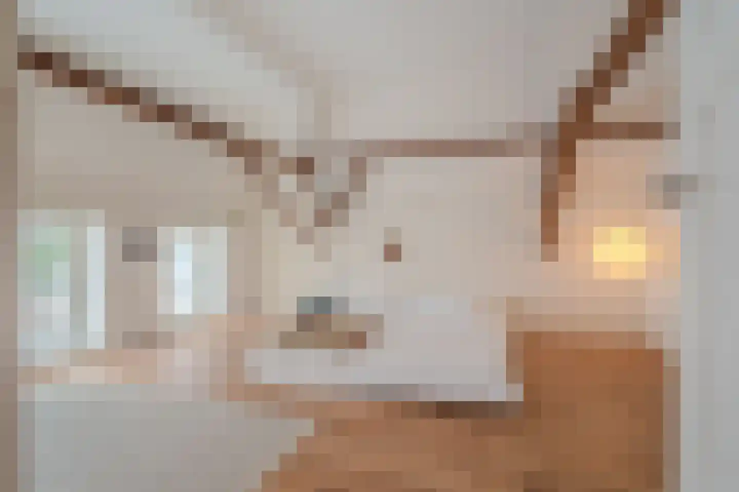Oudeweg 1 Beerta thumbnail 41