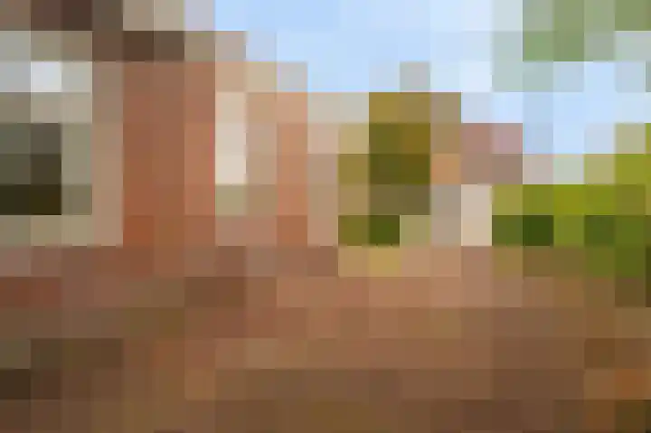 Oudeweg 1 Beerta thumbnail 47