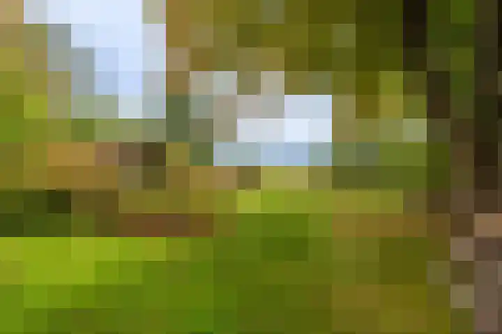 Oudeweg 1 Beerta thumbnail 53