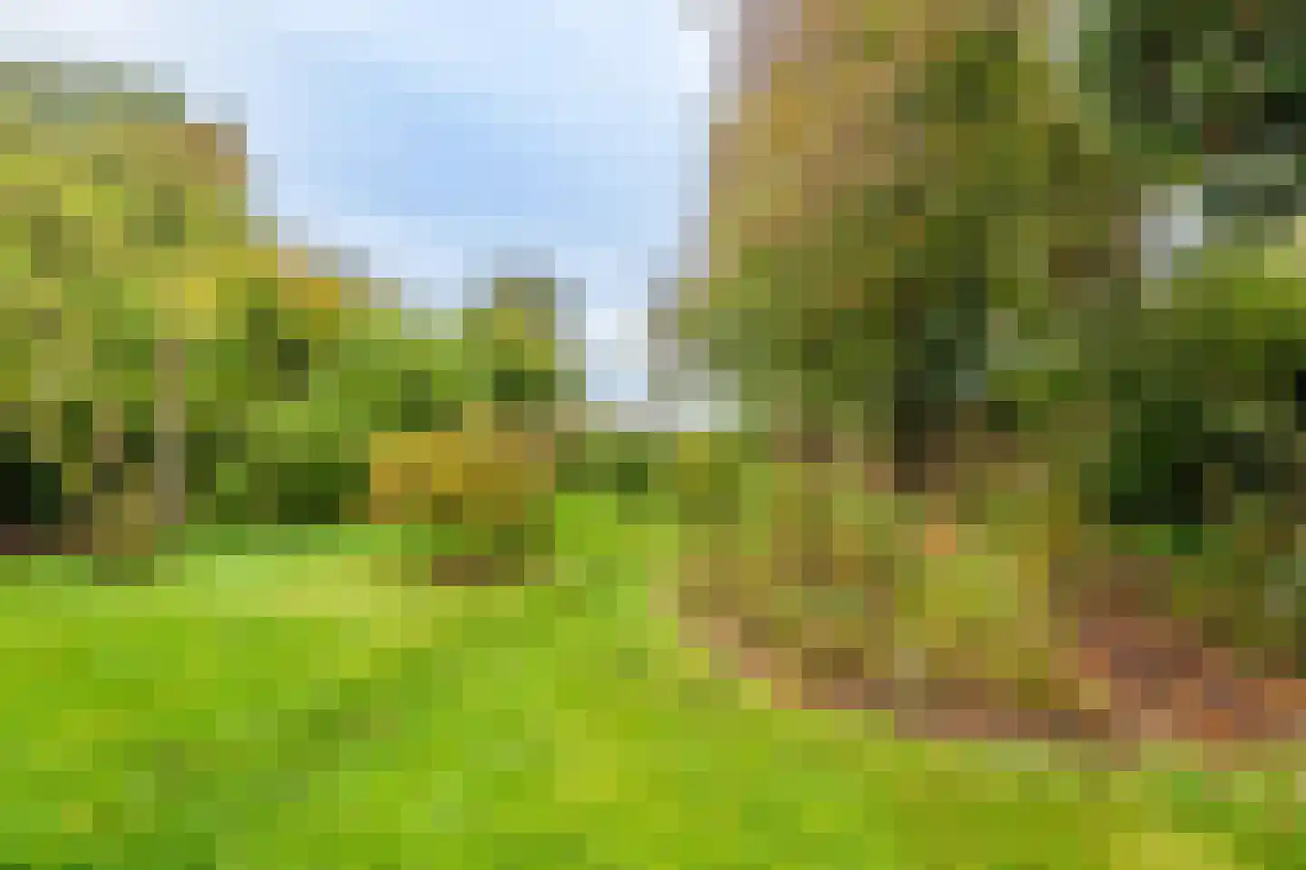 Oudeweg 1 Beerta thumbnail 53