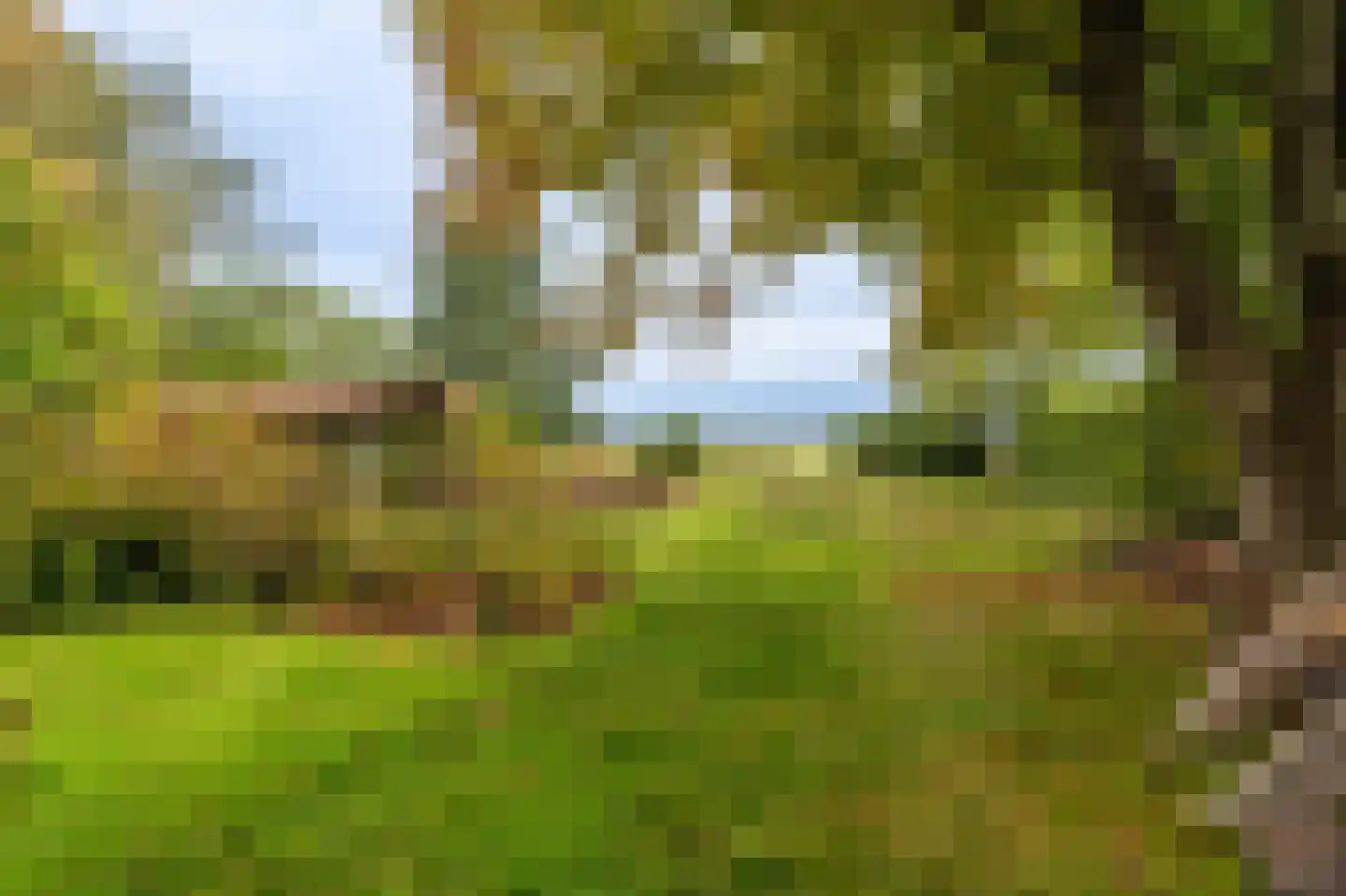 Oudeweg 1 Beerta thumbnail 54