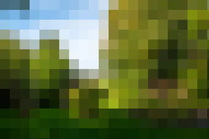 Oudeweg 1 Beerta thumbnail 55