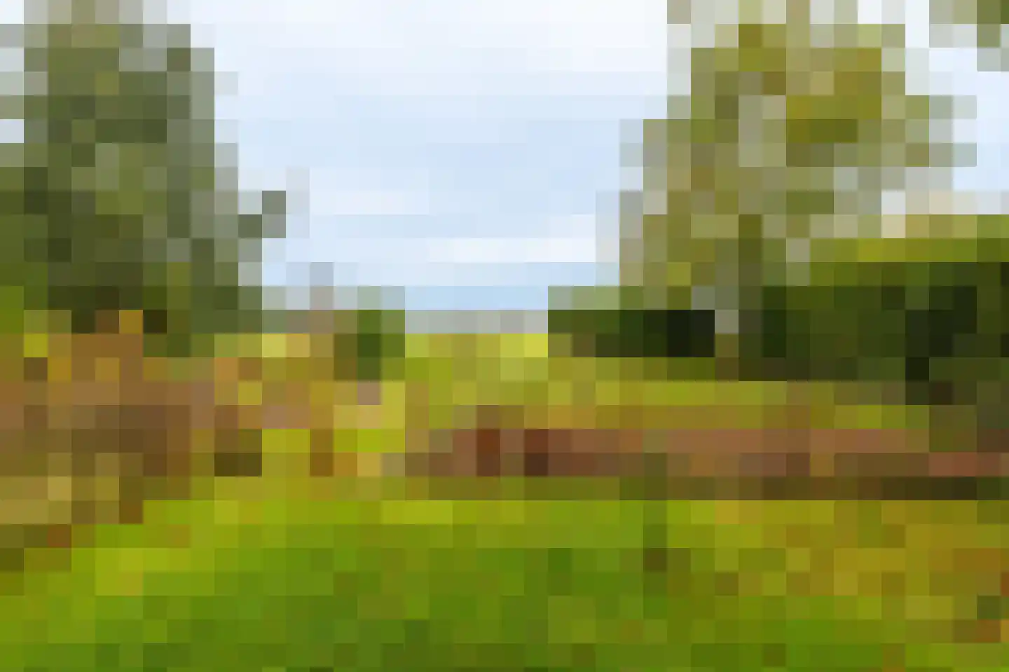 Oudeweg 1 Beerta thumbnail 58