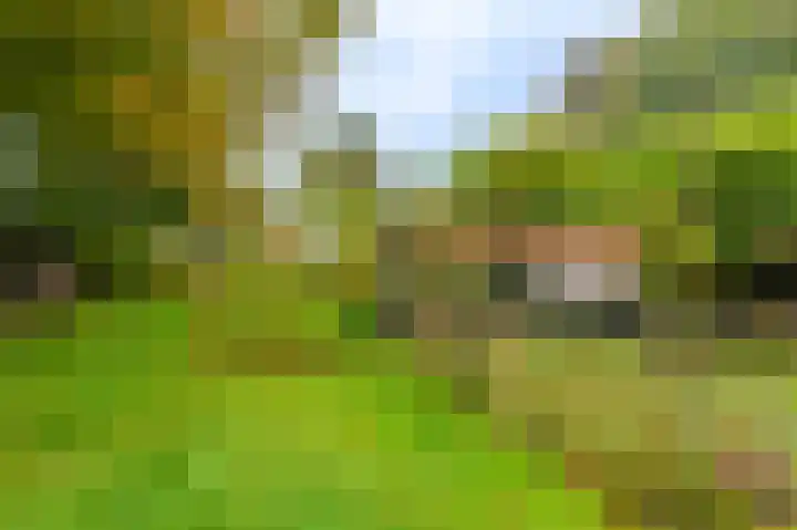 Oudeweg 1 Beerta thumbnail 58